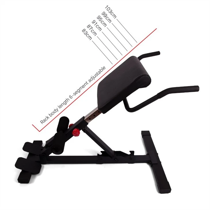 Roman Chair Sit Up Bench